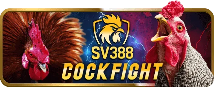 Tính năng bảo mật của 23wim casino